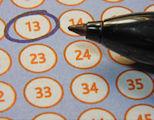 How to Play Live Bingo